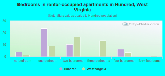 Bedrooms in renter-occupied apartments in Hundred, West Virginia