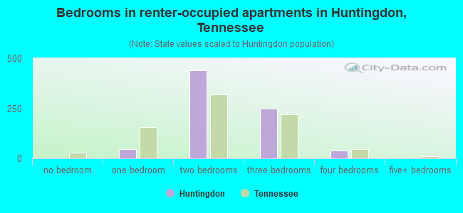 Bedrooms in renter-occupied apartments in Huntingdon, Tennessee