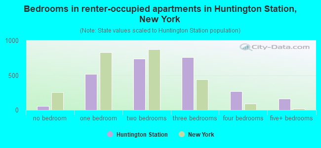 Bedrooms in renter-occupied apartments in Huntington Station, New York