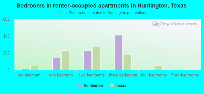 Bedrooms in renter-occupied apartments in Huntington, Texas