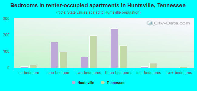 Bedrooms in renter-occupied apartments in Huntsville, Tennessee
