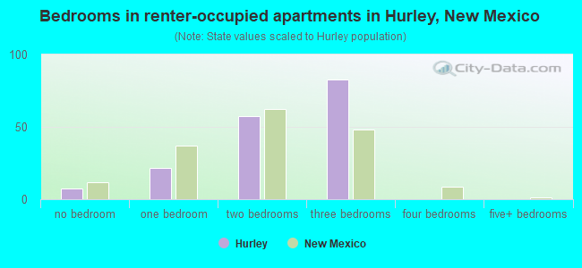 Bedrooms in renter-occupied apartments in Hurley, New Mexico