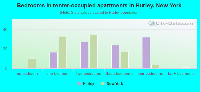 Bedrooms in renter-occupied apartments in Hurley, New York