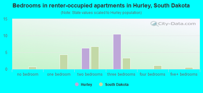 Bedrooms in renter-occupied apartments in Hurley, South Dakota