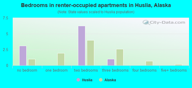 Bedrooms in renter-occupied apartments in Huslia, Alaska
