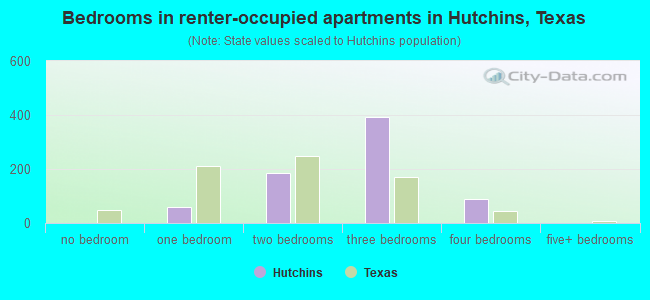 Bedrooms in renter-occupied apartments in Hutchins, Texas