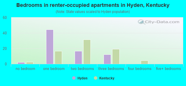 Bedrooms in renter-occupied apartments in Hyden, Kentucky