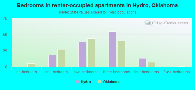 Bedrooms in renter-occupied apartments in Hydro, Oklahoma