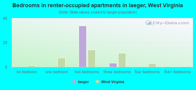 Bedrooms in renter-occupied apartments in Iaeger, West Virginia