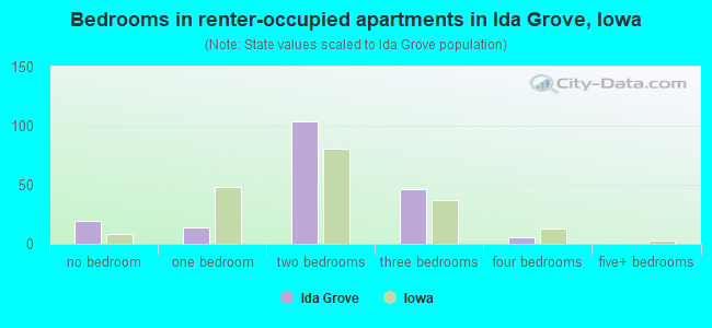 Bedrooms in renter-occupied apartments in Ida Grove, Iowa