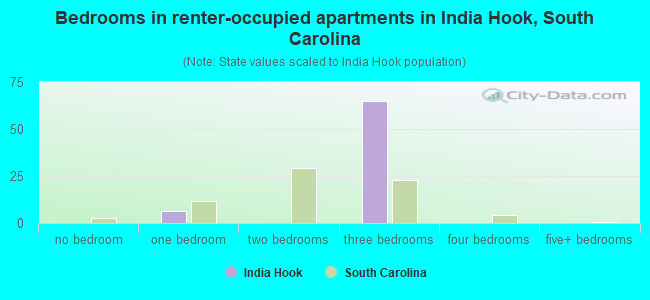 Bedrooms in renter-occupied apartments in India Hook, South Carolina