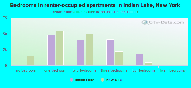 Bedrooms in renter-occupied apartments in Indian Lake, New York