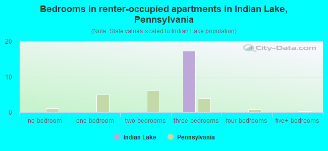 Bedrooms in renter-occupied apartments in Indian Lake, Pennsylvania