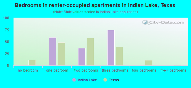 Bedrooms in renter-occupied apartments in Indian Lake, Texas