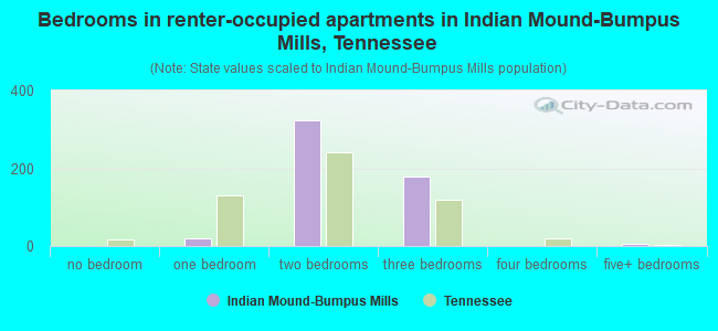 Bedrooms in renter-occupied apartments in Indian Mound-Bumpus Mills, Tennessee