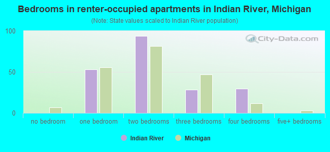 Bedrooms in renter-occupied apartments in Indian River, Michigan