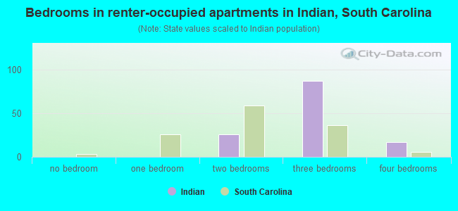 Bedrooms in renter-occupied apartments in Indian, South Carolina