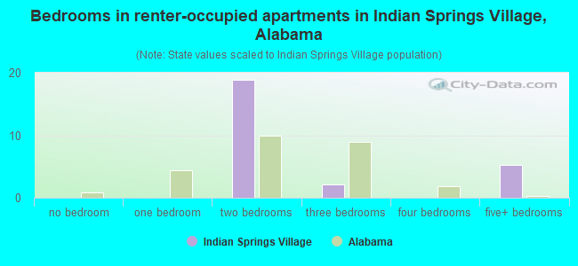 Bedrooms in renter-occupied apartments in Indian Springs Village, Alabama