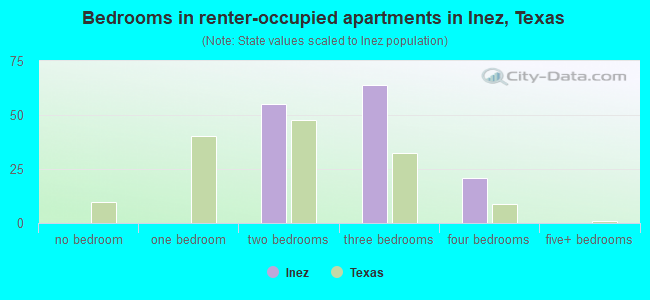 Bedrooms in renter-occupied apartments in Inez, Texas