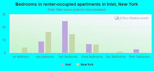 Bedrooms in renter-occupied apartments in Inlet, New York
