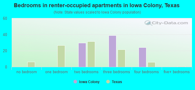 Bedrooms in renter-occupied apartments in Iowa Colony, Texas