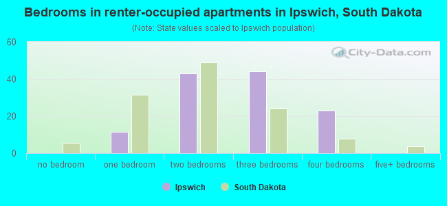 Bedrooms in renter-occupied apartments in Ipswich, South Dakota