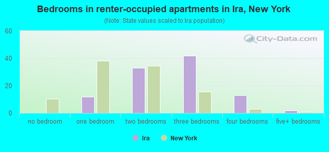 Bedrooms in renter-occupied apartments in Ira, New York