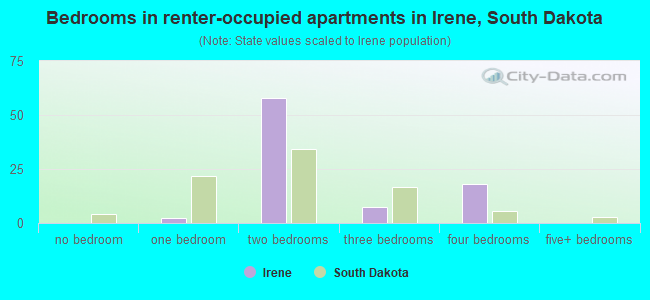 Bedrooms in renter-occupied apartments in Irene, South Dakota
