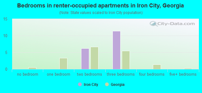 Bedrooms in renter-occupied apartments in Iron City, Georgia