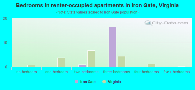 Bedrooms in renter-occupied apartments in Iron Gate, Virginia