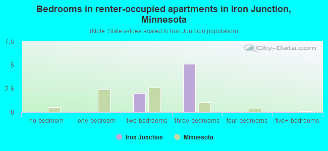 Bedrooms in renter-occupied apartments in Iron Junction, Minnesota