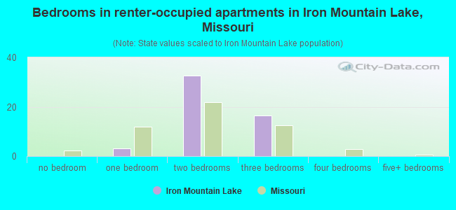 Bedrooms in renter-occupied apartments in Iron Mountain Lake, Missouri