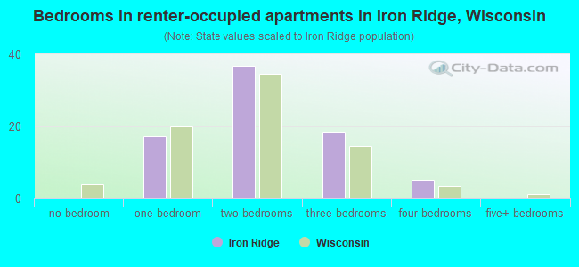 Bedrooms in renter-occupied apartments in Iron Ridge, Wisconsin