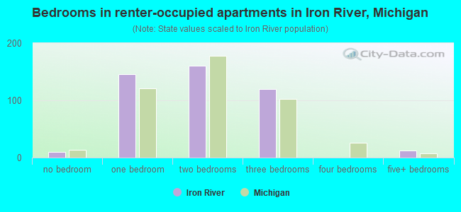 Bedrooms in renter-occupied apartments in Iron River, Michigan