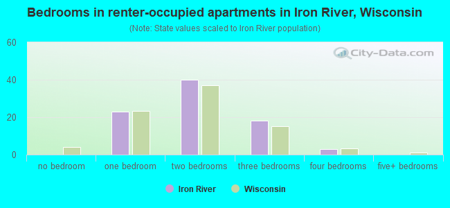 Bedrooms in renter-occupied apartments in Iron River, Wisconsin