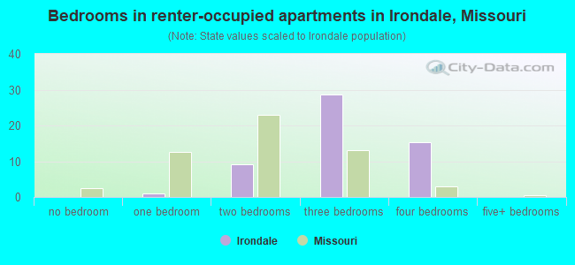 Bedrooms in renter-occupied apartments in Irondale, Missouri