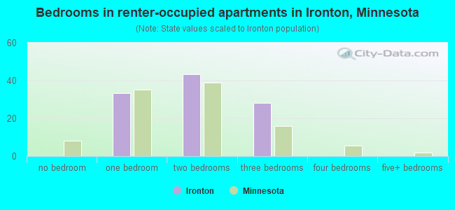 Bedrooms in renter-occupied apartments in Ironton, Minnesota