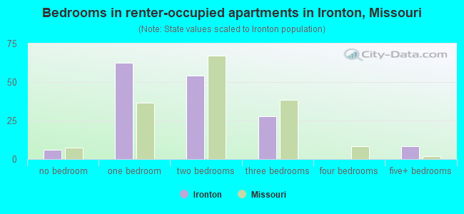 Bedrooms in renter-occupied apartments in Ironton, Missouri