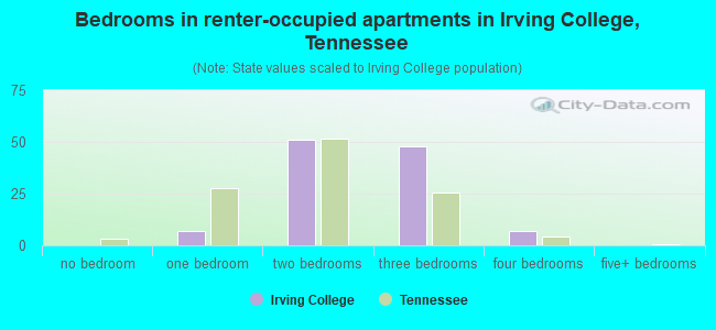 Bedrooms in renter-occupied apartments in Irving College, Tennessee