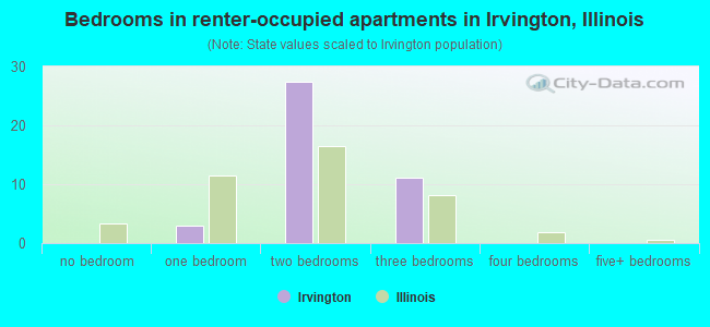 Bedrooms in renter-occupied apartments in Irvington, Illinois