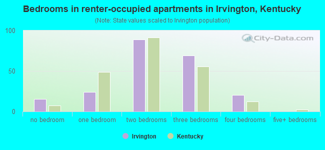 Bedrooms in renter-occupied apartments in Irvington, Kentucky