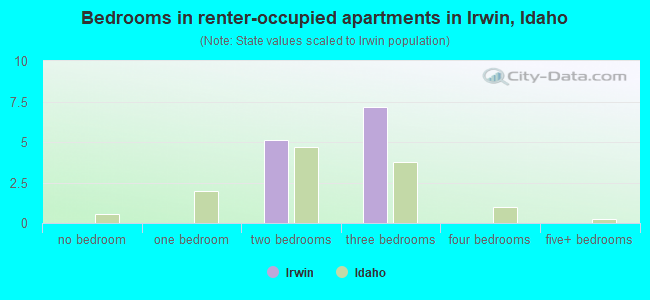 Bedrooms in renter-occupied apartments in Irwin, Idaho