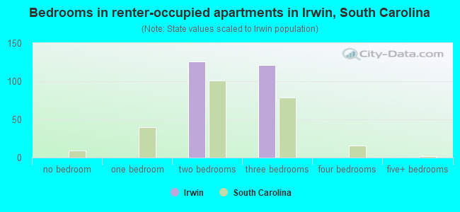 Bedrooms in renter-occupied apartments in Irwin, South Carolina