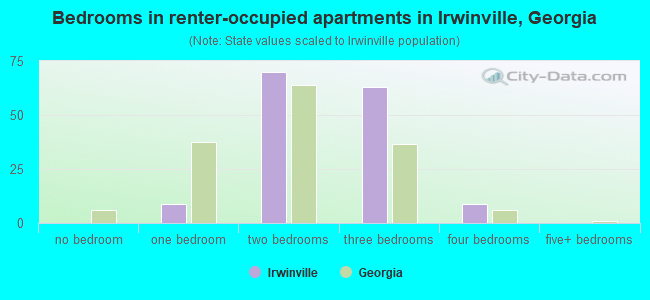 Bedrooms in renter-occupied apartments in Irwinville, Georgia