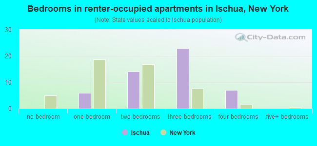 Bedrooms in renter-occupied apartments in Ischua, New York