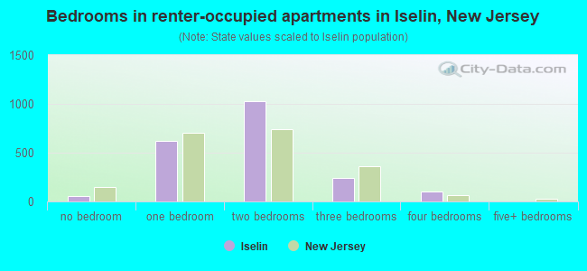 Bedrooms in renter-occupied apartments in Iselin, New Jersey
