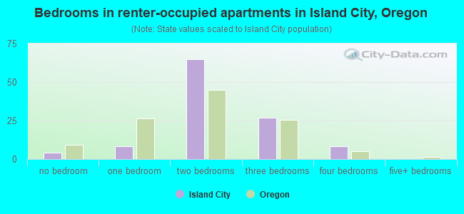 Bedrooms in renter-occupied apartments in Island City, Oregon
