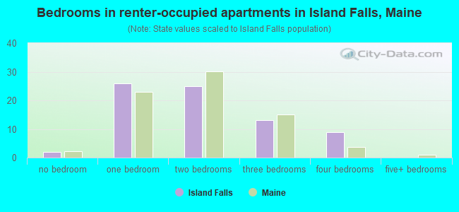 Bedrooms in renter-occupied apartments in Island Falls, Maine