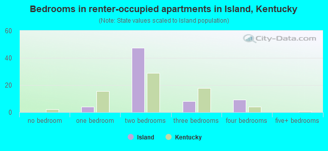 Bedrooms in renter-occupied apartments in Island, Kentucky