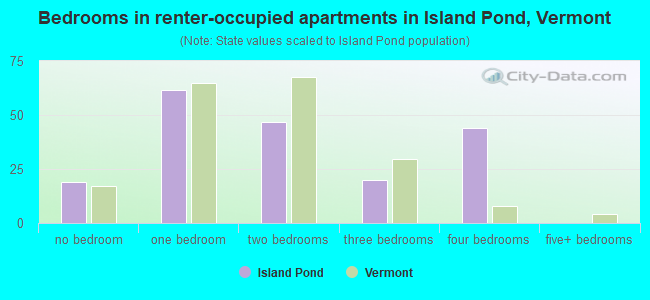 Bedrooms in renter-occupied apartments in Island Pond, Vermont